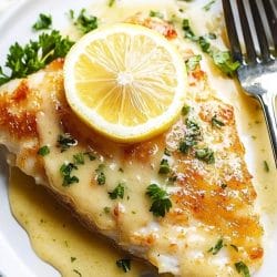 PAN FRIED TILAPIA WITH LEMON BUTTER SAUCE 14 PAN FRIED TILAPIA WITH LEMON BUTTER SAUCE